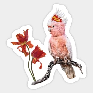 Inka Kakadu Sticker